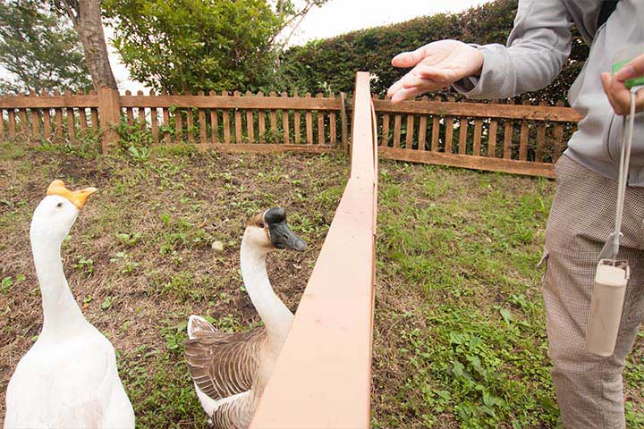 2014年9月社員旅行in日光4　注：動物たちは食べてません